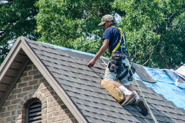 Best Storm Damage Roof Repair  in Rochester, PA